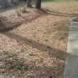 Photo #6: Affordable Debris,Yard, Home Cleanup & Removal