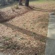Photo #6: Affordable Debris,Yard, Home Cleanup & Removal