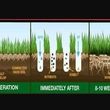 Photo #1: LAWN AERATION, SEEDING and FERTILIZER. 15 years experience Aerating