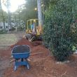 Photo #7: 20%  OFF. ANORVE'S TREE & LAWN SERVICES.
