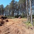 Photo #4: Bobcat Services, Land Clearing, Grading