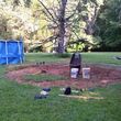 Photo #10: Landscape work, handyman, debris removal, over 20 + years experience.