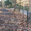 Photo #18: Landscape work, handyman, debris removal, over 20 + years experience.