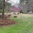 Photo #20: Landscape work, handyman, debris removal, over 20 + years experience.