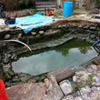 Photo #5: Koi Pond and Water garden Maintenance and Repairs