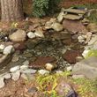 Photo #15: Koi Pond and Water garden Maintenance and Repairs