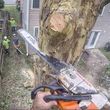 Photo #12: KENNY'S TREE REMOVAL, LLC