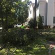 Photo #16: KENNY'S TREE REMOVAL, LLC