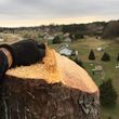 Photo #18: KENNY'S TREE REMOVAL, LLC