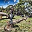 Photo #19: KENNY'S TREE REMOVAL, LLC