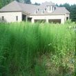 Photo #5: Bush Hog mowing of overgrown lots