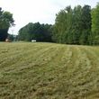 Photo #15: Bush Hog mowing of overgrown lots