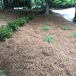 Photo #7: Landscaping Services: Yard/House Work