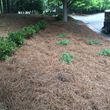 Photo #6: Landscaping Services: Yard/House Work