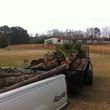 Photo #2: General yard clean-outs,debris removal,tree cutting/trimming,junk R...