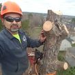 Photo #9: MED'S TREE REMOVAL AND MINI EXCAVATOR SERVICE
