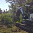 Photo #10: MED'S TREE REMOVAL AND MINI EXCAVATOR SERVICE