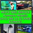 Photo #21: MED'S TREE REMOVAL AND MINI EXCAVATOR SERVICE