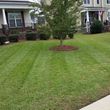 Photo #1: Affordable Lawn Care $25.00 and Bush trimming