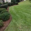 Photo #2: Affordable Lawn Care $25.00 and Bush trimming
