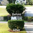 Photo #9: Affordable Lawn Care $25.00 and Bush trimming