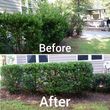 Photo #10: Affordable Lawn Care $25.00 and Bush trimming
