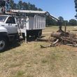 Photo #5: Graham Brothers Tree/Stump removal and Skid Steer