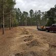 Photo #2: Affordable Stump Grinding Service/Hurricane/Storm Clean up!!!!