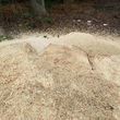 Photo #5: Affordable Stump Grinding Service/Hurricane/Storm Clean up!!!!