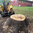Photo #6: Affordable Stump Grinding Service/Hurricane/Storm Clean up!!!!