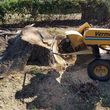 Photo #7: Affordable Stump Grinding Service/Hurricane/Storm Clean up!!!!