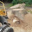 Photo #8: Affordable Stump Grinding Service/Hurricane/Storm Clean up!!!!