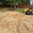 Photo #10: Affordable Stump Grinding Service/Hurricane/Storm Clean up!!!!