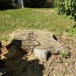 Photo #12: Affordable Stump Grinding Service/Hurricane/Storm Clean up!!!!