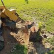 Photo #14: Affordable Stump Grinding Service/Hurricane/Storm Clean up!!!!