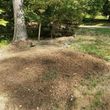 Photo #15: Affordable Stump Grinding Service/Hurricane/Storm Clean up!!!!