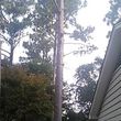 Photo #2: Tree Services/STORM DEBRIS REMOVAL