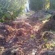 Photo #6: Tree Services/STORM DEBRIS REMOVAL