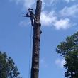 Photo #10: Tree Services/STORM DEBRIS REMOVAL