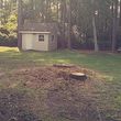 Photo #11: Tree Services/STORM DEBRIS REMOVAL