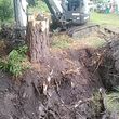 Photo #20: Tree Services/STORM DEBRIS REMOVAL