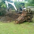 Photo #21: Tree Services/STORM DEBRIS REMOVAL