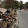 Photo #1: Hurricane debris cleanup ***Local***