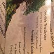Photo #2: Geddie's Tree Service - Tree Removal - Contract Tree Climber - Stump Removal