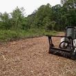 Photo #6: *Timber Trees Wanted* Timber Clearing & Forestry Mulching*