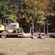 Photo #10: *Timber Trees Wanted* Timber Clearing & Forestry Mulching*