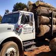 Photo #15: *Timber Trees Wanted* Timber Clearing & Forestry Mulching*