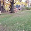 Photo #17: Raking Leaves and Cleaning Yards for Winter