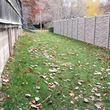 Photo #14: Raking Leaves and Cleaning Yards for Winter