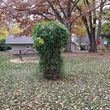 Photo #13: Raking Leaves and Cleaning Yards for Winter
